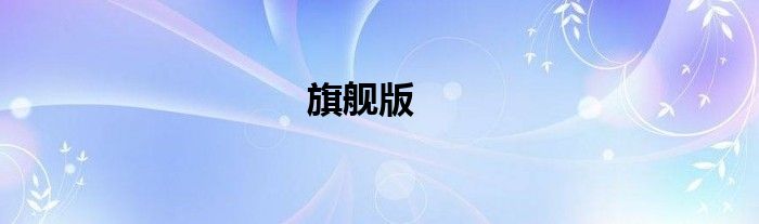 旗舰版