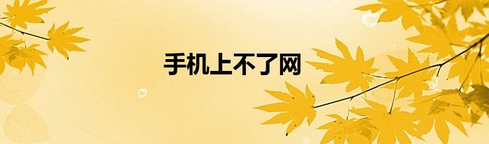 手机上不了网