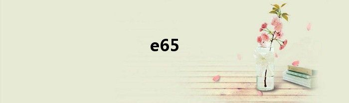 e65