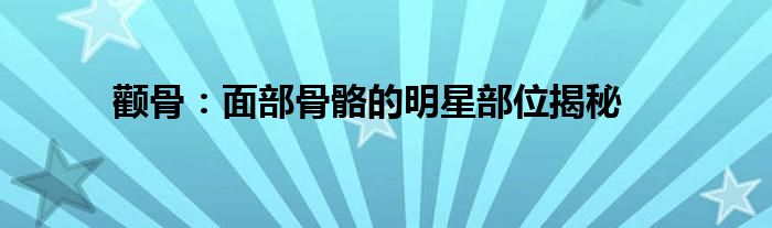 颧骨：面部骨骼的明星部位揭秘