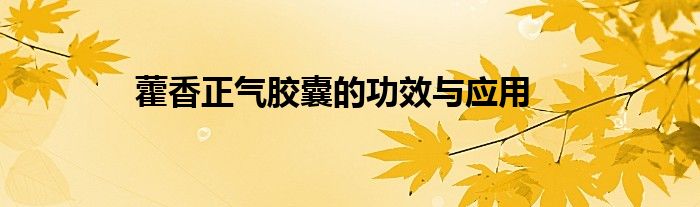 藿香正气胶囊的功效与应用