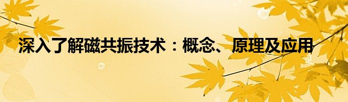 深入了解磁共振技术：概念、原理及应用