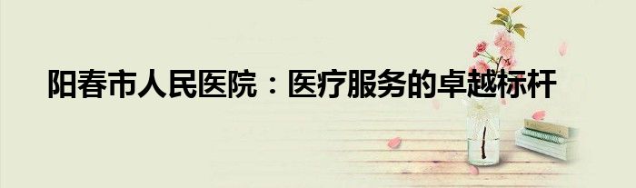 阳春市人民医院：医疗服务的卓越标杆