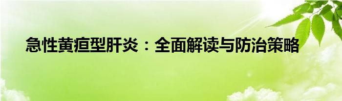 急性黄疸型肝炎：全面解读与防治策略