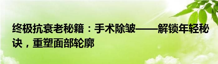 终极抗衰老秘籍：手术除皱——解锁年轻秘诀，重塑面部轮廓
