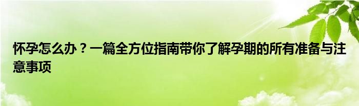 怀孕怎么办？一篇全方位指南带你了解孕期的所有准备与注意事项