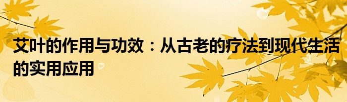 艾叶的作用与功效：从古老的疗法到现代生活的实用应用