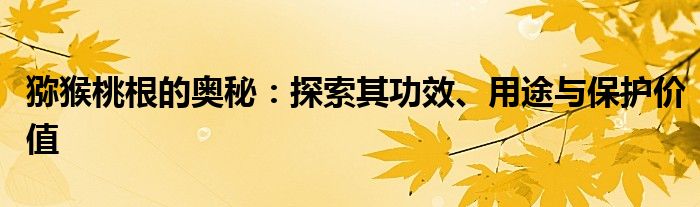 猕猴桃根的奥秘：探索其功效、用途与保护价值