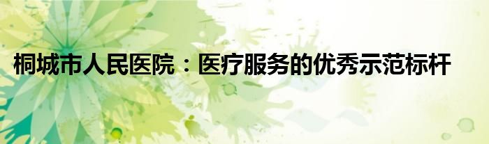 桐城市人民医院：医疗服务的优秀示范标杆