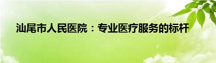 汕尾市人民医院：专业医疗服务的标杆