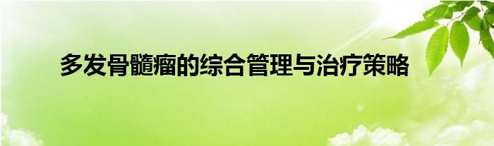 多发骨髓瘤的综合管理与治疗策略