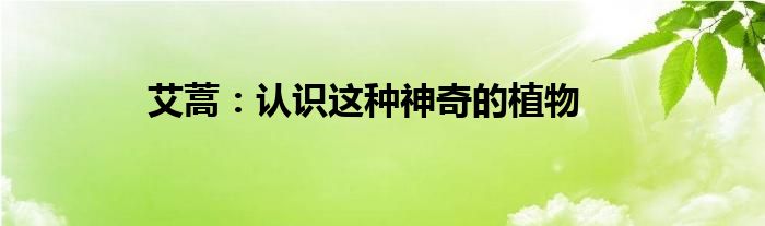艾蒿：认识这种神奇的植物