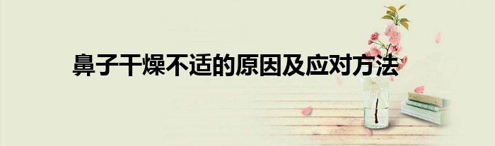鼻子干燥不适的原因及应对方法