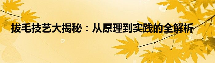 拔毛技艺大揭秘：从原理到实践的全解析