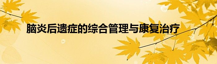 脑炎后遗症的综合管理与康复治疗