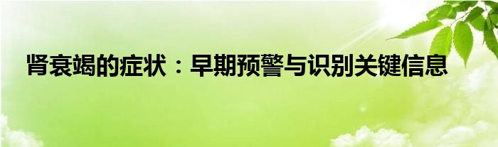 肾衰竭的症状：早期预警与识别关键信息