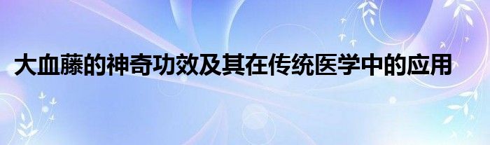 大血藤的神奇功效及其在传统医学中的应用