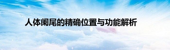 人体阑尾的精确位置与功能解析