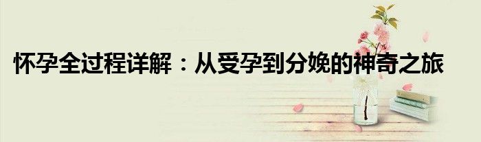 怀孕全过程详解：从受孕到分娩的神奇之旅