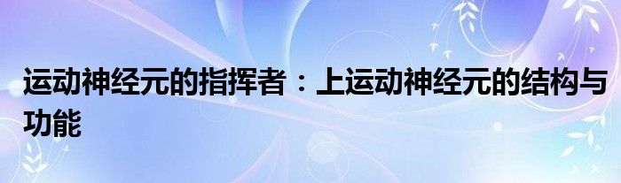 运动神经元的指挥者：上运动神经元的结构与功能