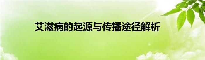 艾滋病的起源与传播途径解析