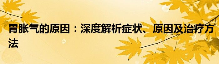 胃胀气的原因：深度解析症状、原因及治疗方法