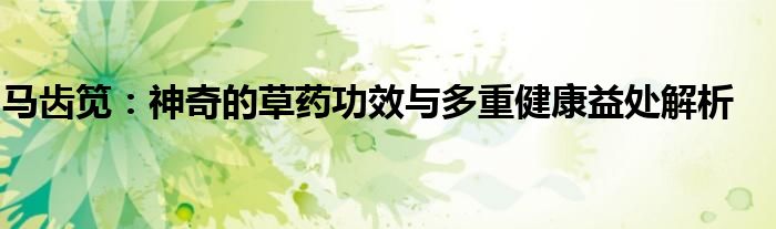 马齿笕：神奇的草药功效与多重健康益处解析
