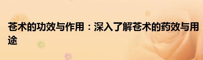 苍术的功效与作用：深入了解苍术的药效与用途