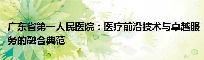 广东省第一人民医院：医疗前沿技术与卓越服务的融合典范