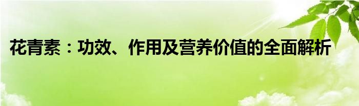 花青素：功效、作用及营养价值的全面解析