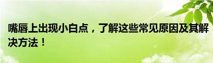嘴唇上出现小白点，了解这些常见原因及其解决方法！