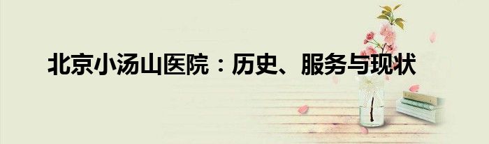北京小汤山医院:历史、服务与现状