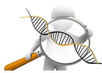 斯坦福大学的研究人员修改CRISPR以重组基因组