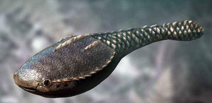 地球上最早的脊椎动物出现在浅水沿岸