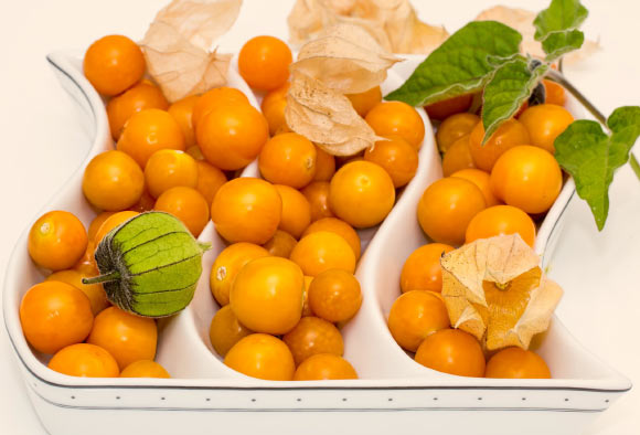 groundcherry（Physalis pruinosa）。 图片来源：Steve Buissinne。