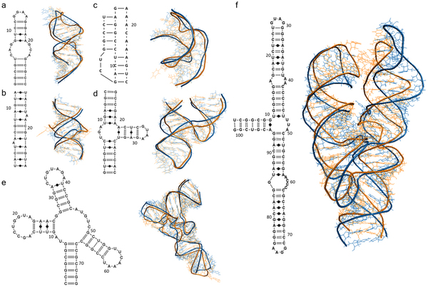 Cell杂志:RNA结构探测技术