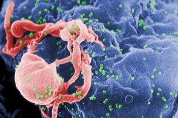 来自抗药性人群的“公共”T细胞受体抵抗艾滋病毒