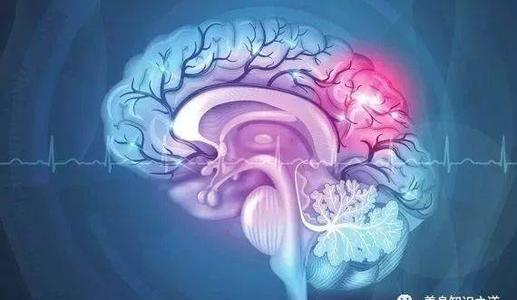 创造人类血脑障碍的食谱