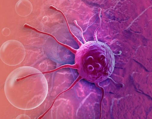 癌症细胞如何应对药物调查的变异性