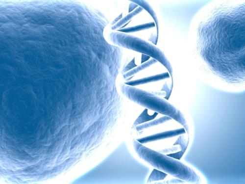 靶向无细胞DNA如何防止肿瘤扩散