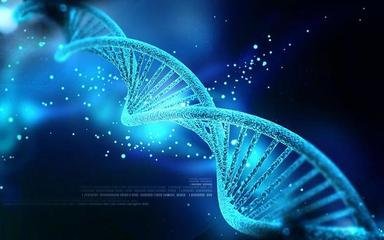 科学家终于解开了恐龙DNA