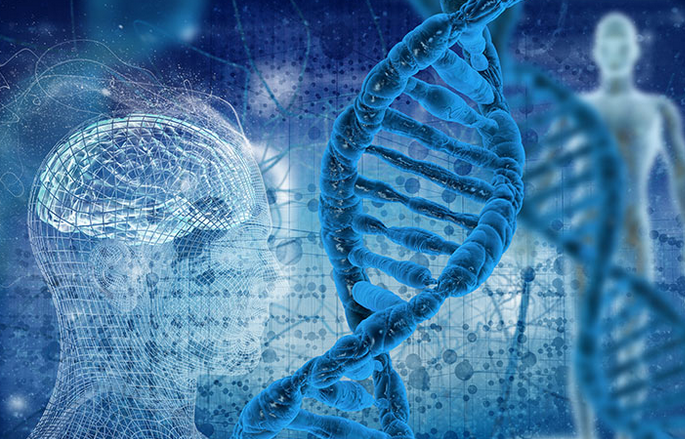 对人类基因的重新统计使这一数字至少增加到46831