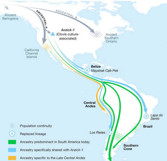 第一批美国人是谁?11000年前的DNA揭示了线索