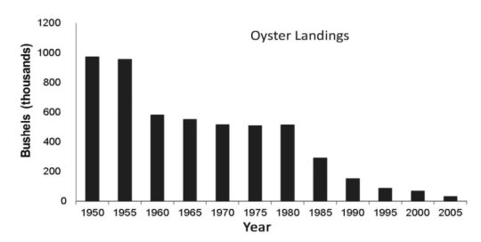 商业贝类上岸量下降可能与环境因素有关