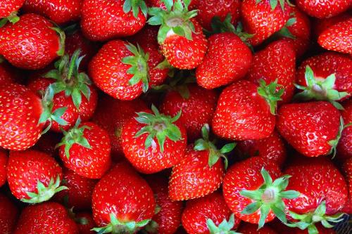 科学家对栽培草莓的基因组进行了测序和分析