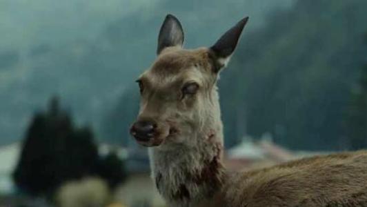 CDC警告猎人在宾夕法尼亚州发现'僵尸鹿病'之后