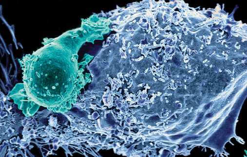 对两种血癌的基因疗法的批准导致了2017年的兴趣大爆发