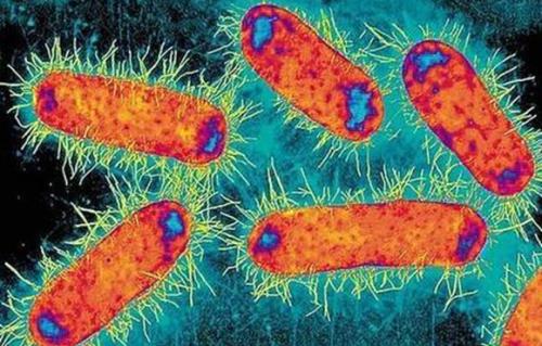 研究人员发现了细菌用来逃避抗生素的新机制