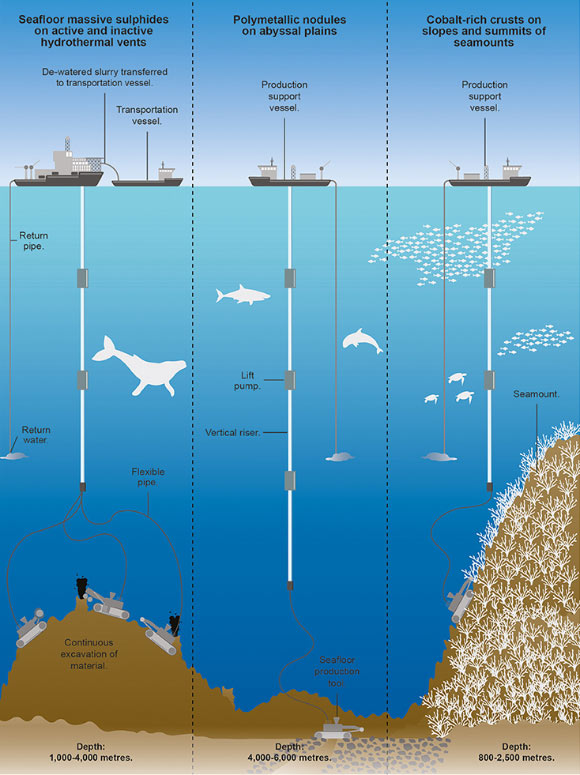 研究称 深海采矿可能会破坏海洋生态系统