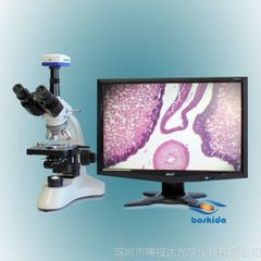 重要的生物医学显微镜技术现在可以更深入地成像到组织中